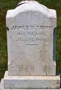 James B TRIPP - Grave