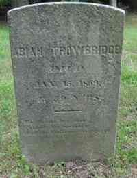 Abiah TROWBRIDGE - Grave
