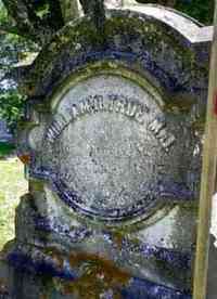 William Henry TRUE - Grave