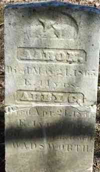 Aaron WADSWORTH - Grave Wadsworth, E. H., (father), Aug. 19, 1821 - July 10, 1893. (Civil War) Wadsworth, Diana, his wife, Mar. 11, 1826 - Jan. 12, 1892.
