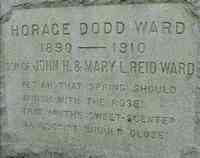 Horace Dodd WARD - Grave