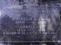 Edward WARREN - Grave