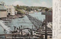 Warren, Maine, USA - Warren, Maine, USA - Alewive Fishing on the Georges River