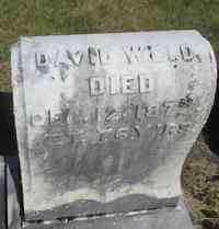 David WELD - Grave