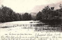 Weld, Maine, USA - East Brook, Lake Webb