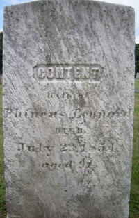 Content CHAPMAN WHEELER? - Grave