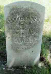 Stephen WHIPPLE - Grave