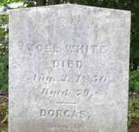 Joel WHITE - Grave
