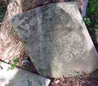 Priscilla WHITE - Grave