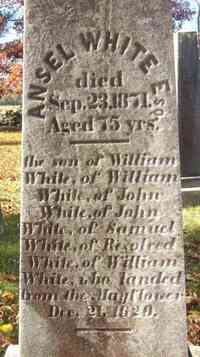 Ansel WHITE - Grave
