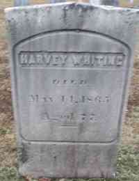 Harvey WHITING - Grave