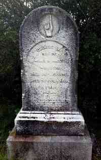 George W. WILCOX - Grave