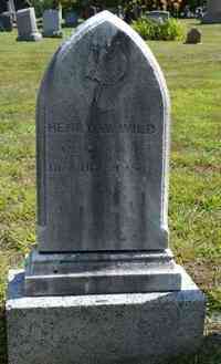 Henry W. WILD - Grave