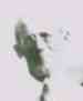 photo of ancestor